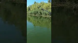 Антитрофей на рыбалке!!! #Shorts