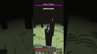 Expectation Vs Reality | Minecraft Dragon Fight  