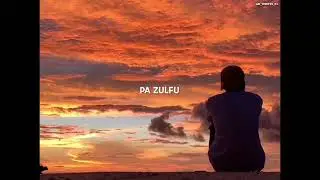 Gul De Pa Zulfo Bande Qataar di | Lyrics |  Wajid Layaq | Status Song