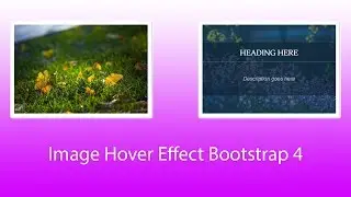 Image Hover Effect Using Bootstrap 4 and CSS3 with code 2018