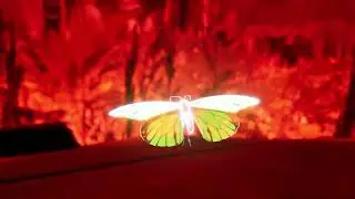 Pandemonium - DMX Lights Visualisation | Prod. Hubert Bogusz