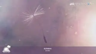 illitheas - Desire [As played on Uplifting Only 438]