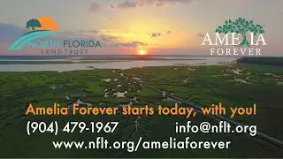 Amelia Forever Campaign - North Florida Land Trust
