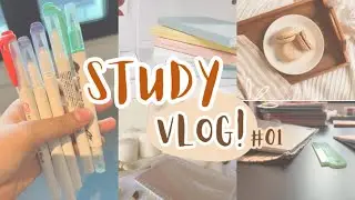 Study With Me Vlog Homework (45 mins) K-Pop Guitar Music