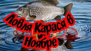 Ловля карася в Ноябре