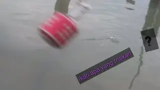 mancing di pinggiran/fishing