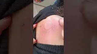 İstanbul. Georgy Shepelev'den WHİEDA ürünlerinin sunumu. Magic Foherb Masaj Aleti