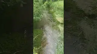 Біжи, біжи струмочку.