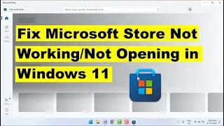 How to Fix Microsoft Store Not Working/Not Opening in Windows 11