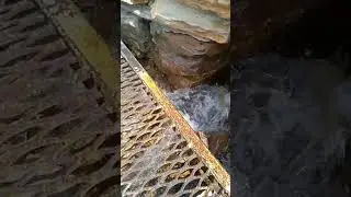 #журкинключ