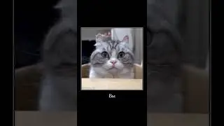 зачем 