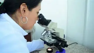 BIOTEST - Centro Médico Ocupacional