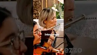Maria Jose, flauta: Bizet Carmen Intermezzo #shorts #horstsohm & #orchestra #classicalmusic