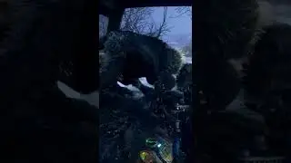 Не заметил оборотня