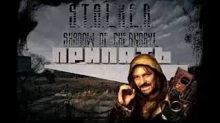 S.T.A.L.K.E.R.: Тень Чернобыля Зона заждалась [СТРИМ] #5