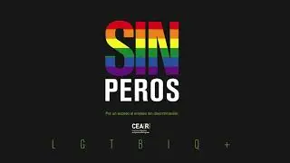 Sin Peros: por el fin de la discriminación en el empleo a las personas LGTBIQ+