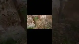 Заброшенная Беларусь