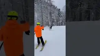 Бык заглянул на Роза Хутор