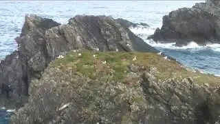 The Butt of Lewis