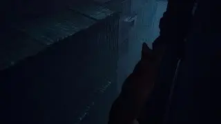 Stray speedrun part 1