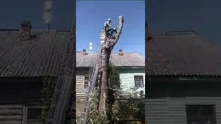 и так тоже пилим, комфорт в работе арбориста