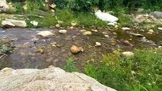 Native American Flute | Healing Music & Nature Sounds, Reduce Stress, Anxiety