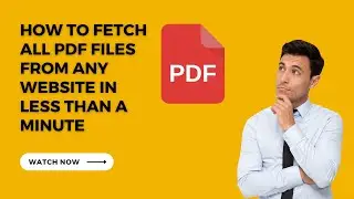 How To Fetch All PDF Files From Any Website In Less Than A Minute | CSWISE
