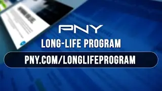 Receive Continued Support with the PNY Professional Long Life Program