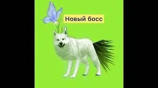 Идеи для обновления в WildCraft. Подпишитесь на канал Лёха и друзья на Ютубе