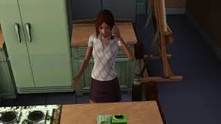 sims 3 painting and cooking