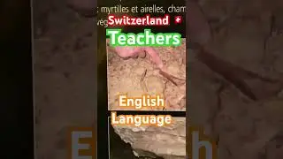 Switzerland 🇨🇭- English Language Teachers #teaching #salary #srilanka #teacher #howto #swissjobs