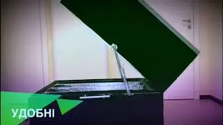 Слайды