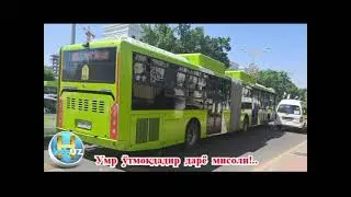 Умр ўтмоқдадир дарё мисоли!.. shorts