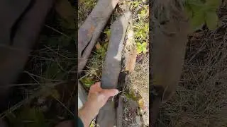 Хорошая прогулка!