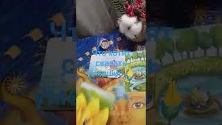 #magic