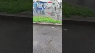 Выращиваем картофель.... #shorts #картошка