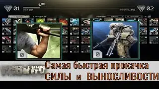 Как прокачивать СИЛУ и ВЫНОСЛИВОСТЬ? | Escape from Tarkov
