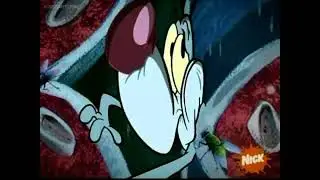 The Mighty B! - Did you lose something?