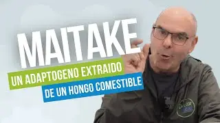 MAITAKE: Un Hongo con Grandes Propiedades
