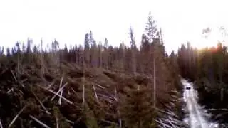 Ivar 2013 12 12