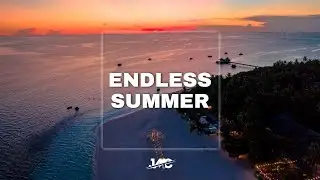 Roa - Endless Summer (No Copyright Music)