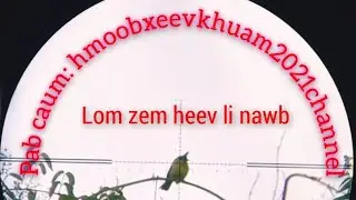 hunting/ yos hav zoov tua noog part 9