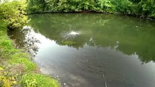 ВЕЧЕРНЯЯ РЫБАЛКА/ШУШМА