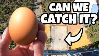 How High Can You Catch an Egg?