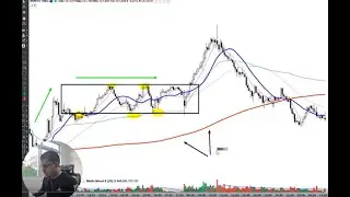 Diário de Trade | 01/08 (Índice, Dólar, Nasdaq)