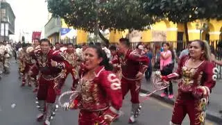 Elenco Folklórico Sambos Caporales 2020