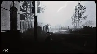 mirror - BO2 (scrap)