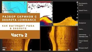 Как выглядит рыба в эхолоте? Часть 2. Разбор скринов с эхолота Lowrance HDS Live 9