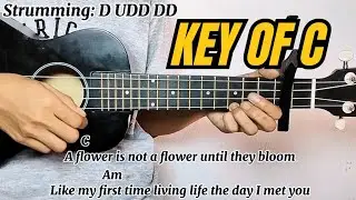 Sining - Dionela ft. Jay R | Ukulele Tutorial with Chords and Lyrics (Ukulele Play Along)
