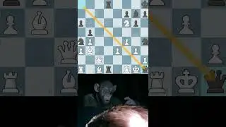 Diverting The King 